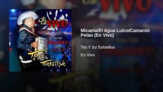 Tito Torbellino - Micaela, El Agua Lulco, Camaron Pelao (En Vivo)