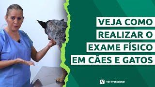 Semiologia do sistema cardiovascular em cães e gatos