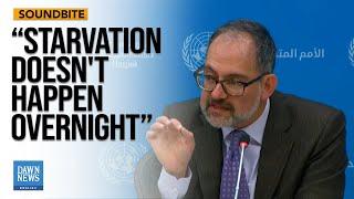 UN Expert Highlights 'Systemic Starvation,' Destruction In Gaza | Dawn News English