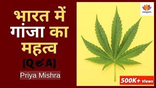 [Q&A] भारत में गांजा का महत्व | Cannabis in India | Priya Mishra | SangamTalks