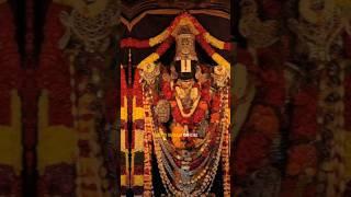 Tirupati Venkateswara Swamy Devasthanam  #tirupati #tirumala #shorts #viralshorts