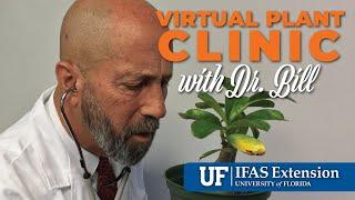 The Virtual Plant Clinic With Dr. Bill December 12, 2024