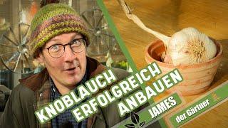 Knoblauch ganz einfach im Herbst selber pflanzen | James der Gärtner