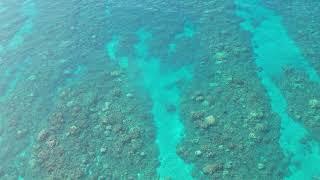 Is Olowalu worth snorkeling when you visit Maui?