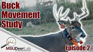 BUCK MOVEMENT STUDY - EPISODE 2: USED VS. UNUSED BOTTOMLAND HARDWOOD SITES