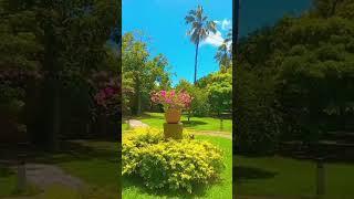 මේ වගේ තැනක ඉන්න ආස කවුද?  Sandu with mix tv|#beautifulgarden