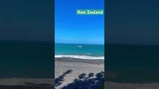 Ocean view #beach#nature #newzealand#southislandnz #adventure