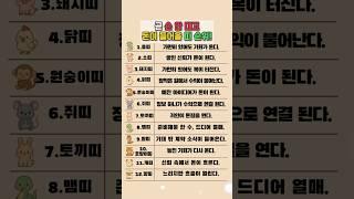 곧 손 안 대고 돈이 들어올 띠 순위 #재물운 #운세 #오늘의운세 #대박운세 #띠별운세
