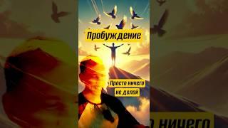 Даже не старайся, все делается САМО! #сатсанг #адвайта #просветление #пробуждение