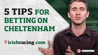 Top 5 tips to win more Cheltenham bets