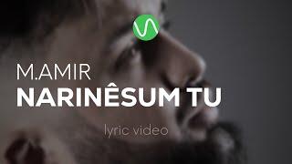 M.AMIR — Narinesum tu / Lyric Video / pomerê sozen