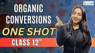 All ORGANIC CONVERSIONS of NCERT Class 12 ONESHOT | Boards | NEET  #neet #cbse #cbseboard #neet2024