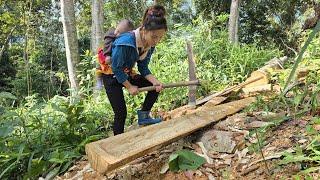 How to make a wooden pig trough - Building a duck coop - Daily life of a single mother