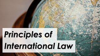 Main principles governing the international legal system | LexIcon