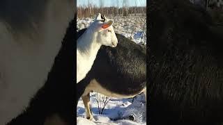 ЖИВИТЕ ДЛЯ СЕБЯ!!!ТАК БУДЕТ НЕ ВСЕГДА!!!