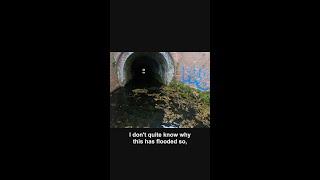 GeoWizard discovers abandoned tunnel frozen in time (black country)
