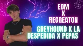 Greyhound x La Despedida x Pepas (Devizz Mashup) - EDM X REGGAETON