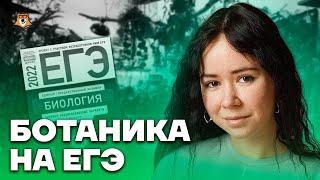 Вся ботаника для ЕГЭ | Биология ЕГЭ 2025 | Умскул