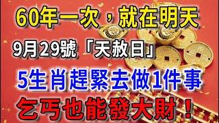 60年一次，就在明天！9月29號“天赦日”，這5個生肖趕緊去做1件事，乞丐也能發大財，尤其這個屬相！再窮也能翻身！|平安是福 #生肖 #運勢 #風水 #財運