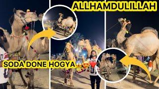 Allhamdulillah camel le lia️soda done ️Qurbani 2025️