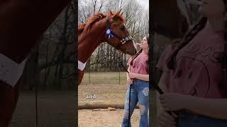 Chester's Birthday Vlog!! World's Best Barrel Horse Turns 9! #equestrian #barrelracing #horses