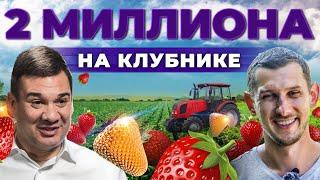 Сколько приносит ягода? Клубника, малина, смородина | Ягодный бизнес и риски | Андрей Даниленко