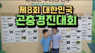 아이들과 꼭 한번 가볼만한곳 추천 | BEST 현장 체험학습 프로그램 가득한 곤충의 세계로 고고