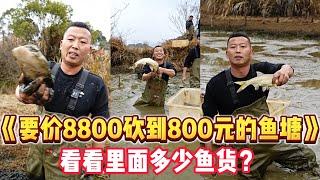 開價8800塊的魚塘直接砍價到880，看看裏面能上多少貨#三农  #户外  #包塘 #漁民