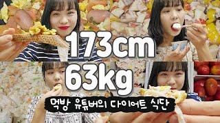 173cm 63kg 먹방 유튜버의 다이어트 식단 근데 이제 코끼리 밥을 곁들인,,(점심 도시락, 초간단 레시피, 다이어트 간식, 일상 먹방 요리 브이로그)