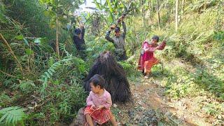 What happens when a giant gorilla raises a baby, ly tu sa, King Kong 2025