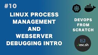 #10 DevOps From Scratch | Process Management, Web Server Debugging Primer 1 (ps, netstat)