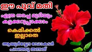 ചെമ്പരത്തിപ്പൂവ് ഉണ്ടെങ്കിൽ എത്ര നരച്ച മുടിയും ഒറ്റ യൂസിൽ കറുപ്പിക്കാം|| Natural Hair Dye