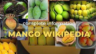 Mango Wikipedia 2.0 || #mangonews #production #export || complete information