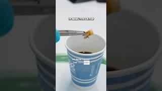 Tooth Stain Coffee Test! The Results Are Wild