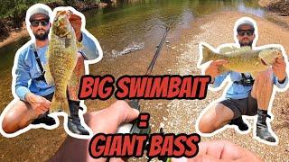 Big Swimbait For Giant Smallmouth!! | New Offical PB!!