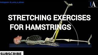 Stretching Exercises for Hamstrings | Posterior Leg | @DrAimanUbaid