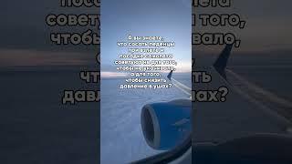 Ответ в тг: Блог Глеба и зрелищ. Ссылка в закрепленном комментарии. #авиа #полет #путешествия