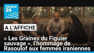 "Les Graines du Figuier sauvage", l'hommage de Mohammad Rasoulof aux femmes iraniennes • FRANCE 24