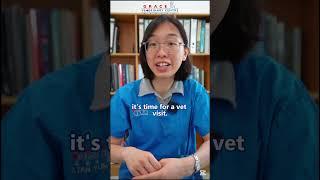 Vet Explains Ear Mites #earmites #petvet #gracevet #pethealth #gracevetcentre #vetexplains #fypシ゚