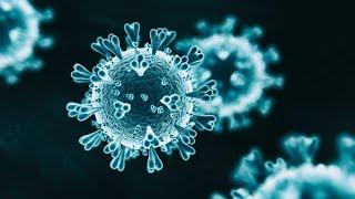 HOW VIRUS ATTACK US#   scientia-Techne Episteme