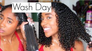 Wash Day Routine| How to wash Natural Curly Hair with NO breakage! (Hair Hacks)