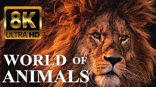 WORLD OF ANIMALS 8K Ultra HD – Animals Around The Planet with REAL Nature Sounds