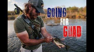 Fly Fishing for Guadalupe Bass in TEXAS | "Going for Guad"