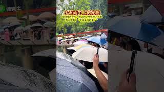 小五雨中上树宠粉现场游客哇声一片小鸟也掉下来了哈哈热心游客这事儿与五儿无关大熊猫莽小五莽仔和小五看一遍笑一遍一方水土养一方熊猫重庆动物园