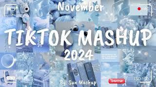 Tiktok Mashup November 2024 (Not Clean)