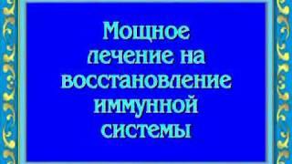 Восстановление иммунной системы ▪️ Restoring the immune system