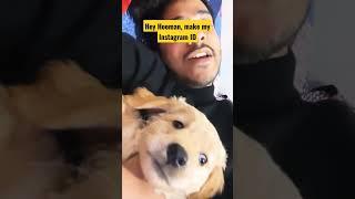coco wants to become Instagram Influencer  #shorts #ytshorts #viral #trending #puravjha #dog