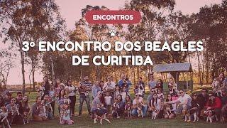 3º Encontro dos Beagles de Curitiba - Agosto 2016 - Organização Meu AUmigo Cão