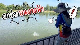 พิเรนจัด ! ขึ้นมาตกปลา บนดาดฟ้า | เด็กตกปลา