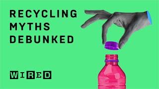 Here's what happens to your recycling | On Location